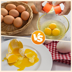 Cracker Tool Egg Breaker Manual Shell Separator Opener Kitchen Tools For Egg Lot