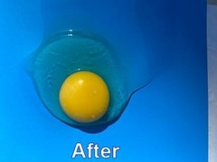 The Egg Tool. Engineered to instantly pick up that nasty glob of chalaza mem…