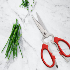 Messermeister 8-Inch Take-Apart Kitchen Scissors, Red – Includes Screwdriver, Nu