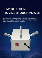 Beef Seasoning Brine Electric Automatic High-Pressure Meat Injector