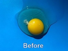 The Egg Tool. Engineered to instantly pick up that nasty glob of chalaza mem…